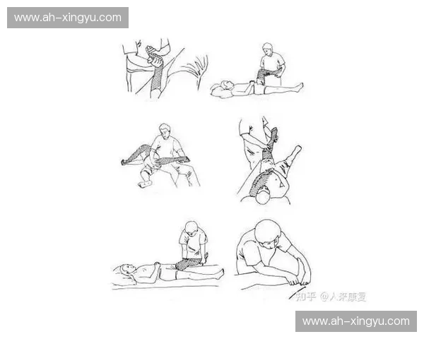 全面康复训练计划：促进身体功能恢复与健康重建的科学方案