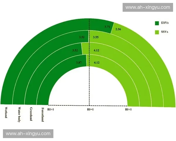 构建体育自媒体矩阵驱动多元内容生态全面升级发展路径策略探索