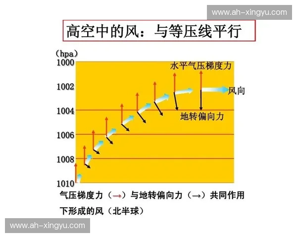 运动专项课程设计与实施探索：提高学生综合运动能力的策略与方法