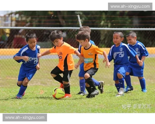 青训招募体系创新探索：打造足球青少年培养与发展新模式